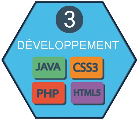 Développement site wordpress front-end back-end programmation base de données