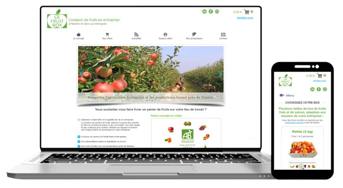 lafruitbox creation site ecommerce panier de fruits avec expérience utilisateur unique